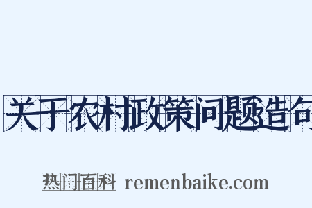 关于农村政策问题造句是什么意思的图片